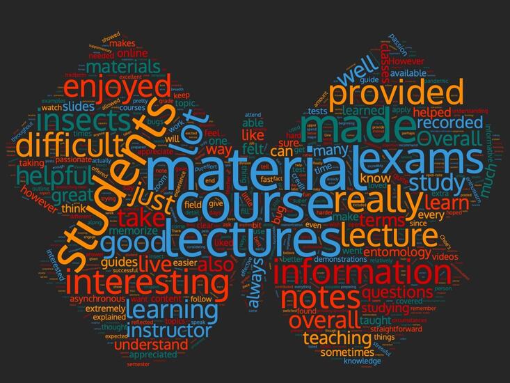 ENTM010 word cloud from 2021