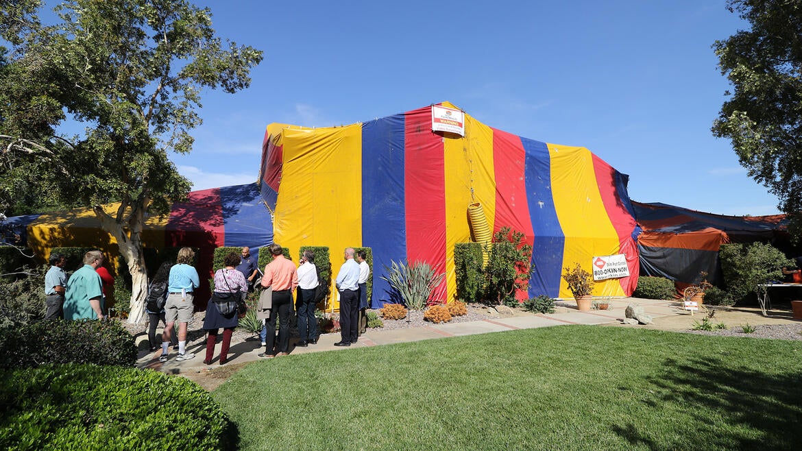 Fumigation school tented house