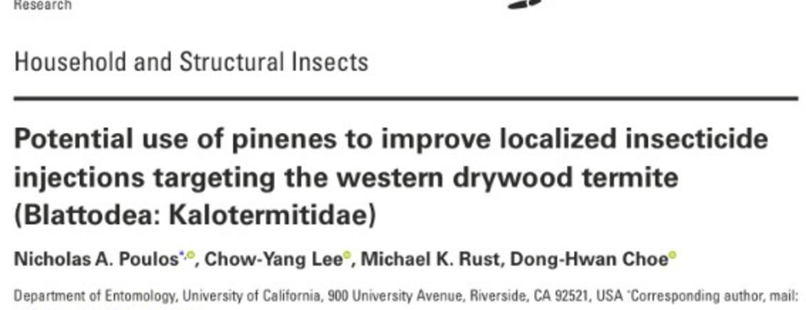 Pinene paper