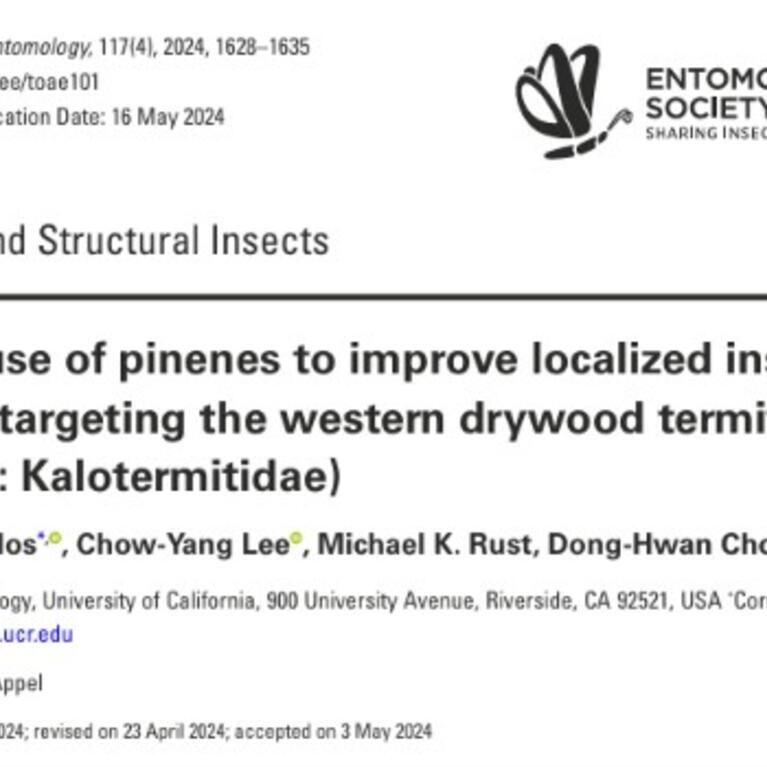 Pinene paper