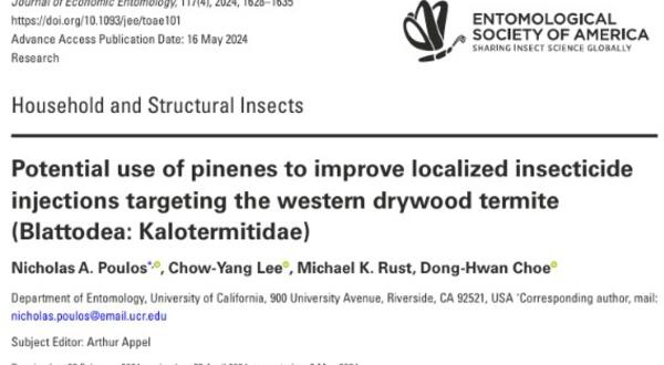 Pinene paper