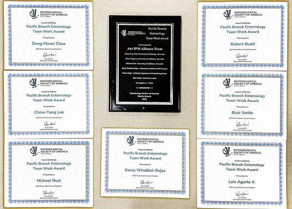 PB ESA Team Work Award