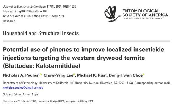 Pinene paper