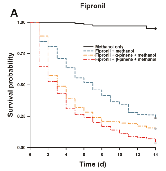 Termite mortality in pinene study