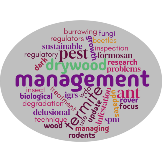 UCR UPMC 2025 wordcloud