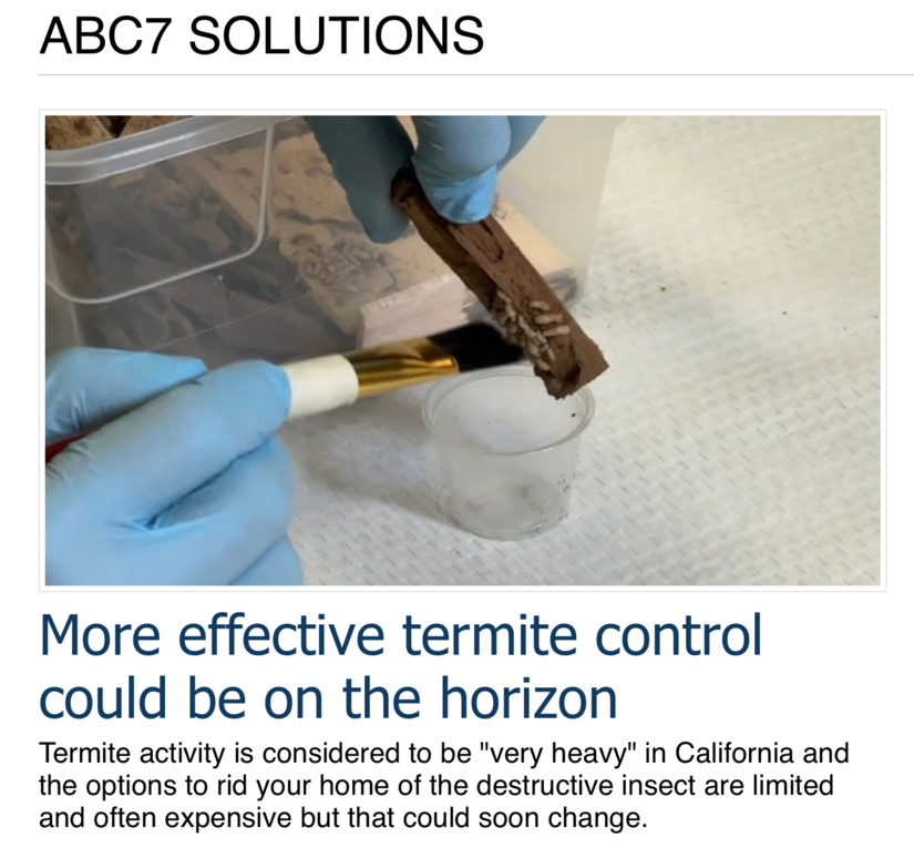 ABC7 Solutions termite research