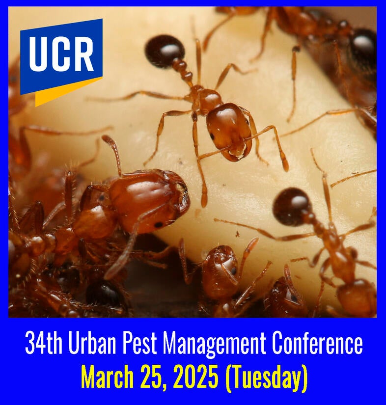 UCR UPMC 2025